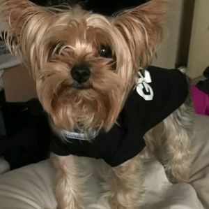 Meet your Posher, Lizbeth